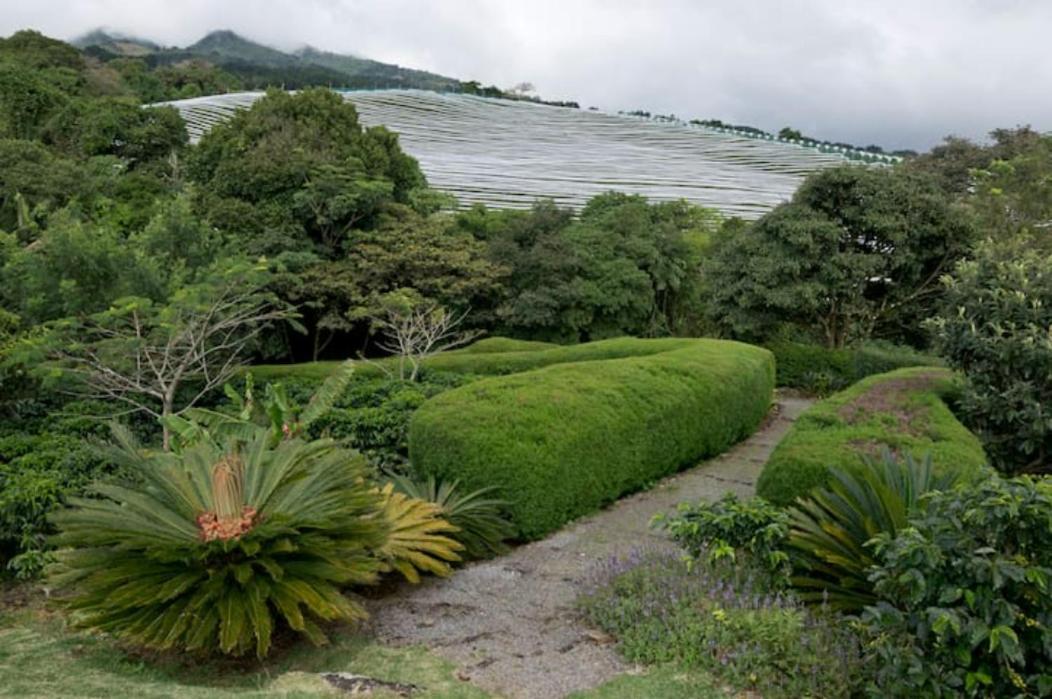 Coffee Garden Ranch Costa Rica Apartamento Concepcion  Exterior foto