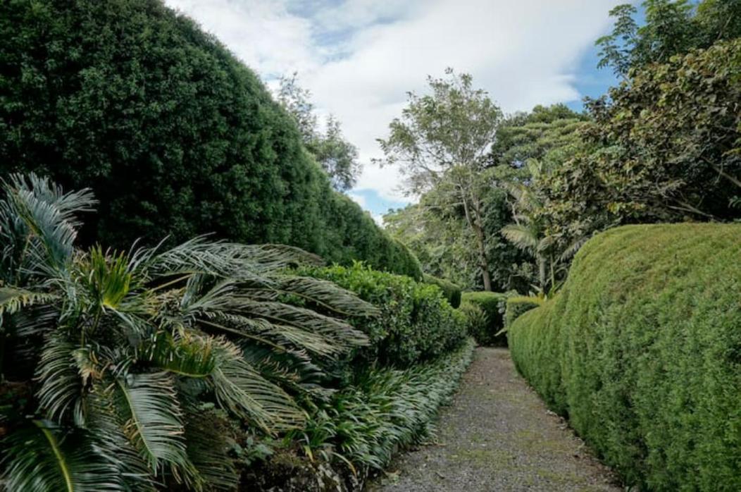 Coffee Garden Ranch Costa Rica Apartamento Concepcion  Exterior foto