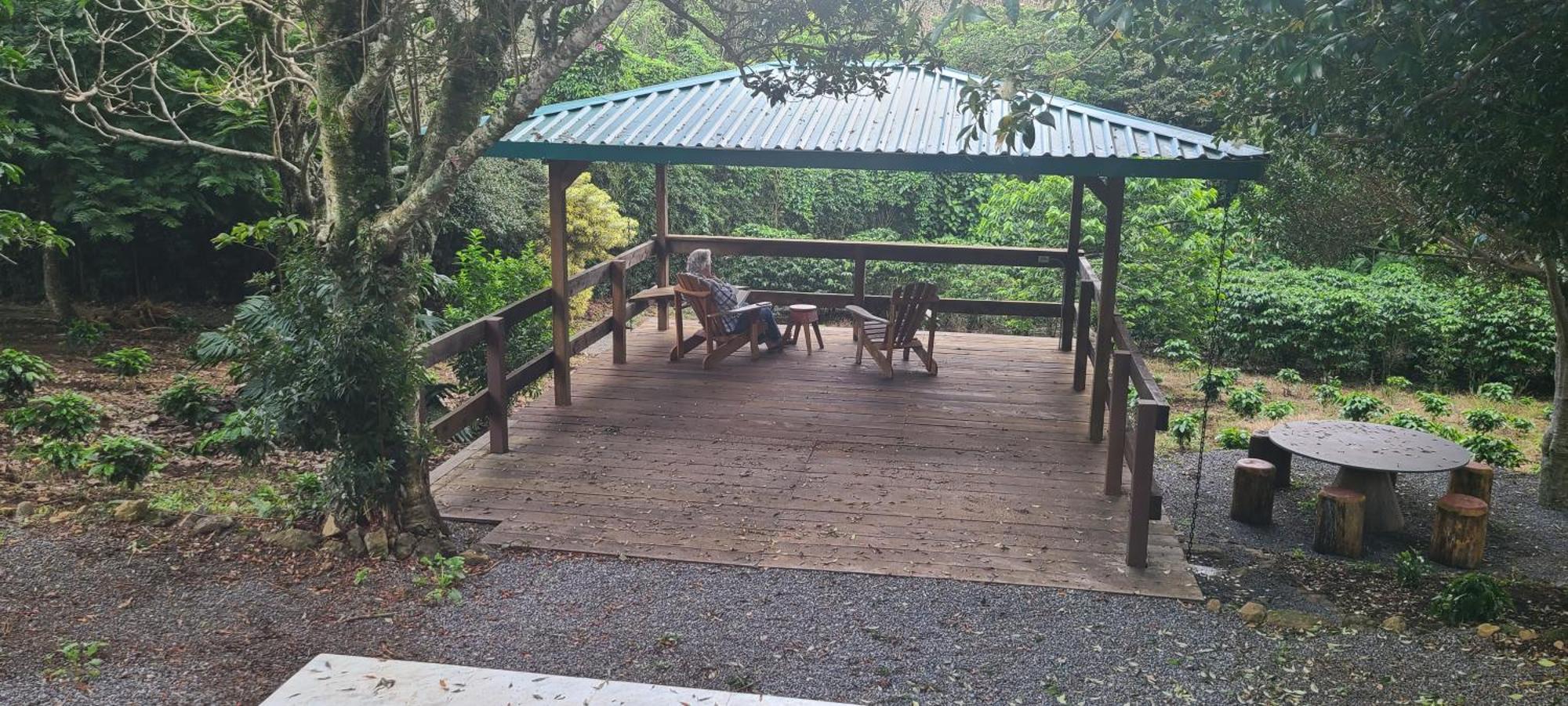 Coffee Garden Ranch Costa Rica Apartamento Concepcion  Exterior foto